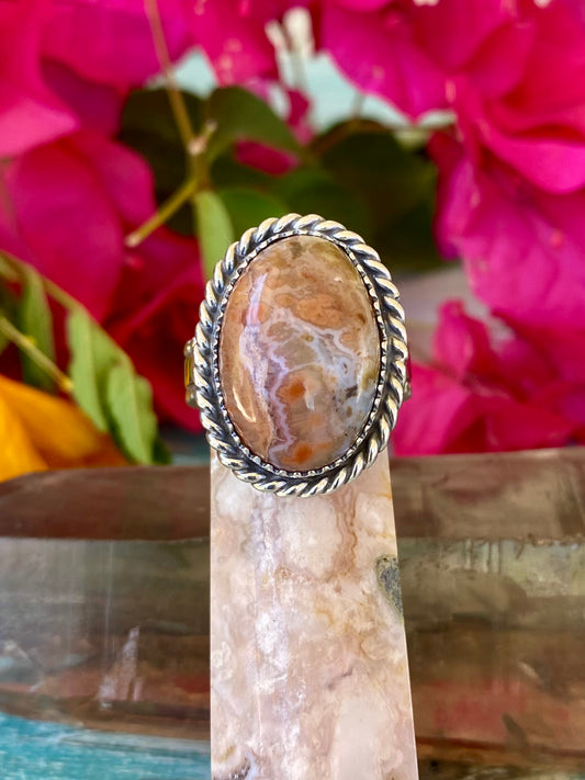 Silver and Petrified Wood Ring