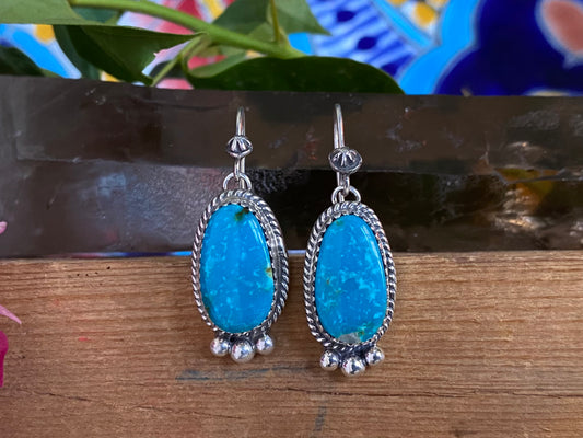 Turquoise Dangle Earrings